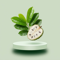 Soursop Fruit Extract