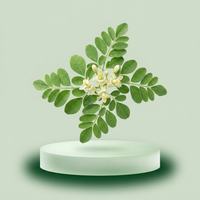 Moringa