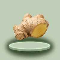 Ginger Root